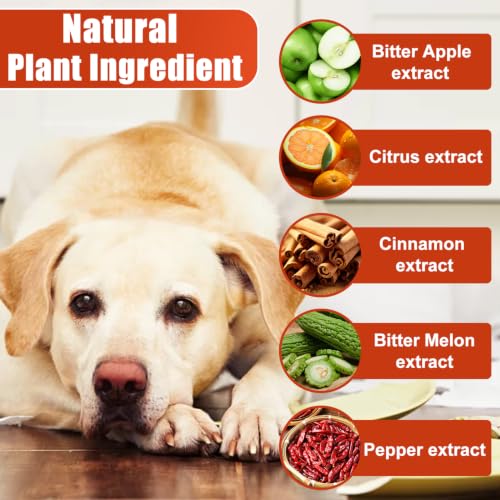 No Chew Spray for Dogs, 5.07 Oz Bitter Apple Spray for Dogs to Stop Chewing