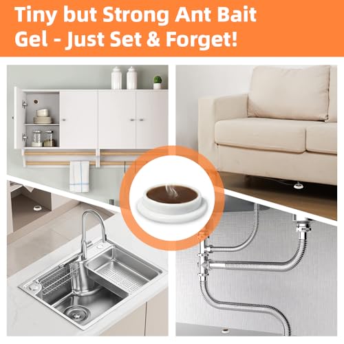 48 Pack Slow-Acting Ant Bait Gel Stations for Indoor & Outdoor Eliminate
