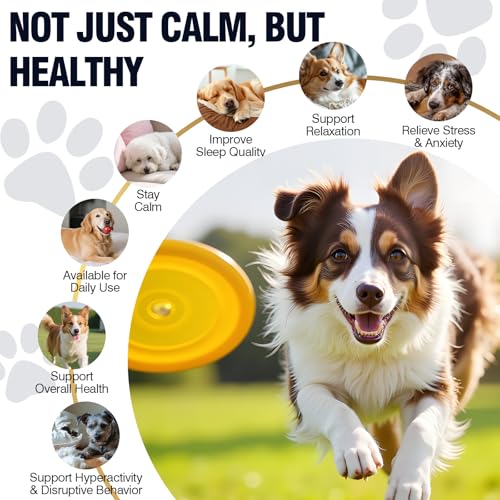 Calming Chews for Dogs 200ct, Dog Calming Chews - Anxiety and Stress Relief