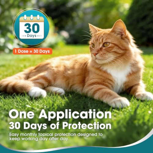 Topical Flea and Tick for Cats & Kittens Over 1.5 lbs, Waterproof, Monthly