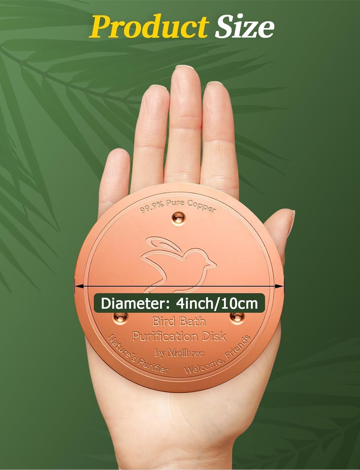 Mellbree Bird Bath Copper Disk, 0.6mm Reinforced 99.99% Pure Copper Cleaning