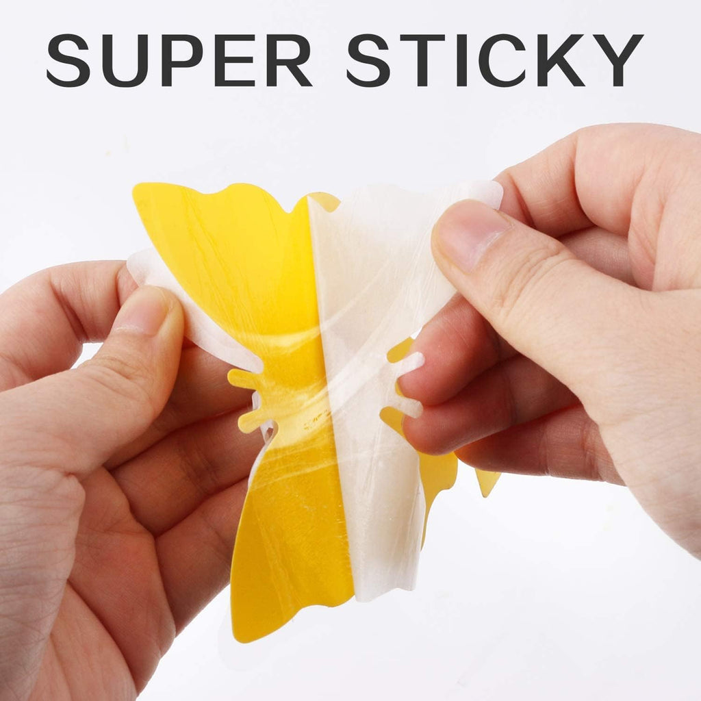 Fruit Fly Traps Fungus Gnat Traps Yellow Sticky Bug Traps 36 Pack No Harm and