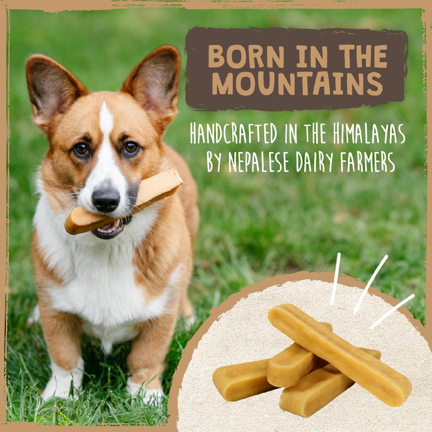 Mighty Paw Yak Cheese Dog Chews ‰ÛÒ All-Natural Long Lasting Hard Chew for