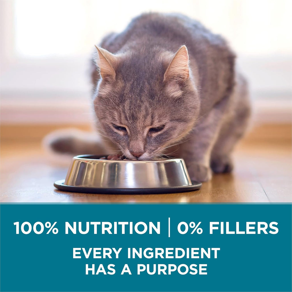 Purina ONE Natural Dry Cat Food, Tender Selects Blend With Real Chicken - 7