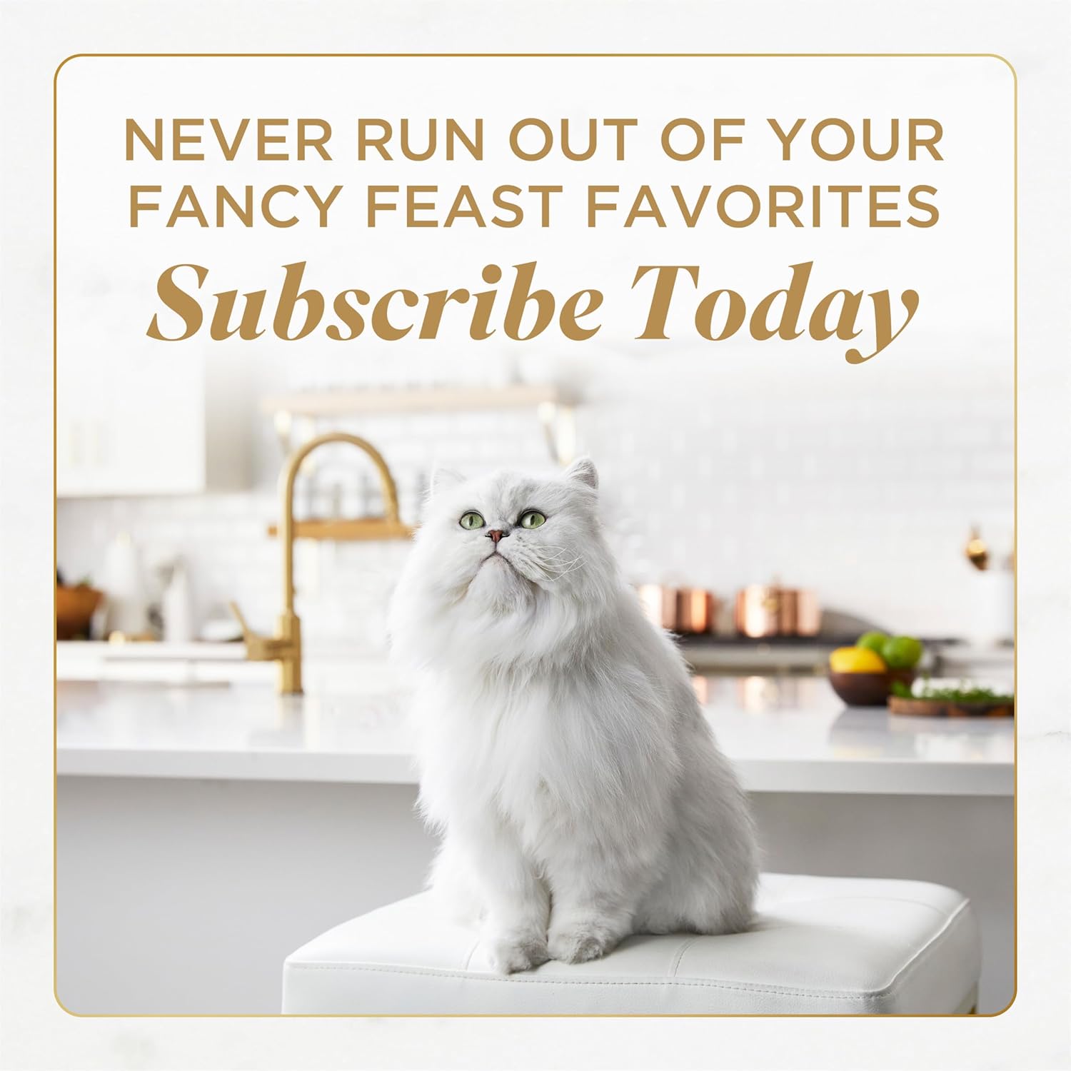 Purina Fancy Feast Gourmet Wet Cat Food Variety Pack, Petites Gravy