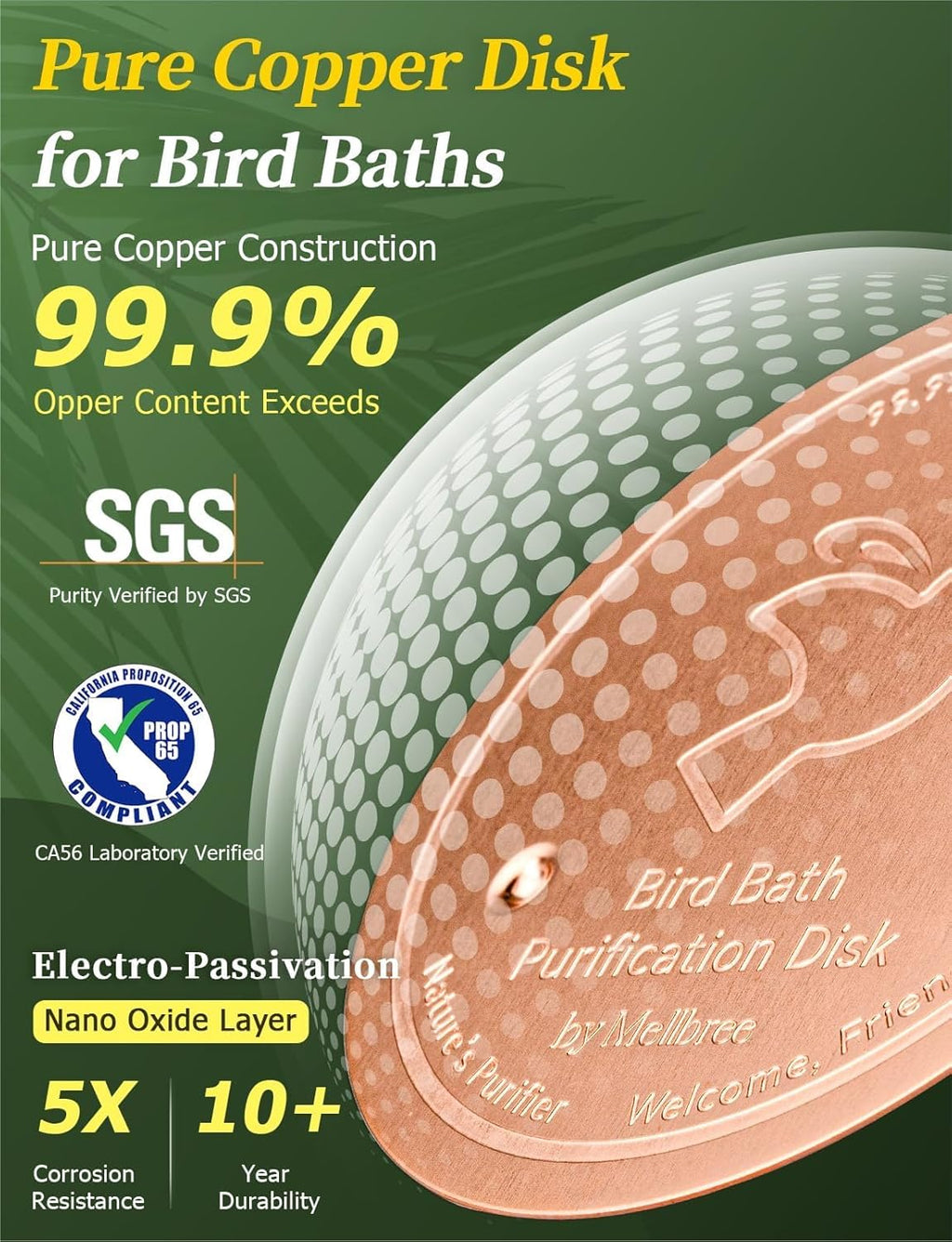 Mellbree Bird Bath Copper Disk, 0.6mm Reinforced 99.99% Pure Copper Cleaning