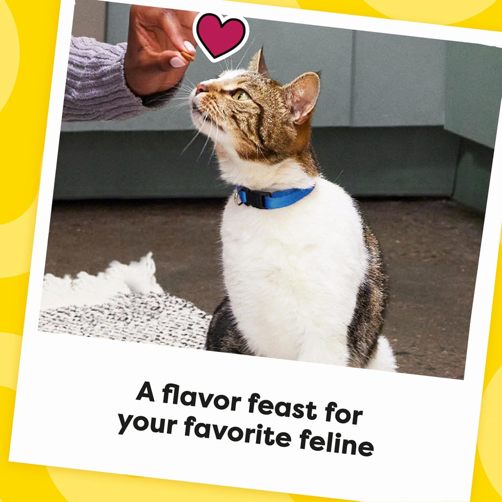 Temptations Cat Treats, Classic Crunchy and Soft Cat Treats, Catnip Fever