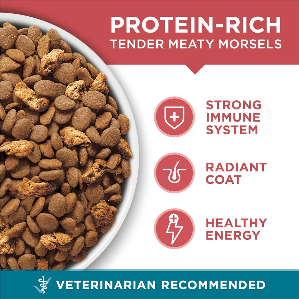 Purina ONE Natural Dry Cat Food, Tender Selects Blend With Real Salmon - 7