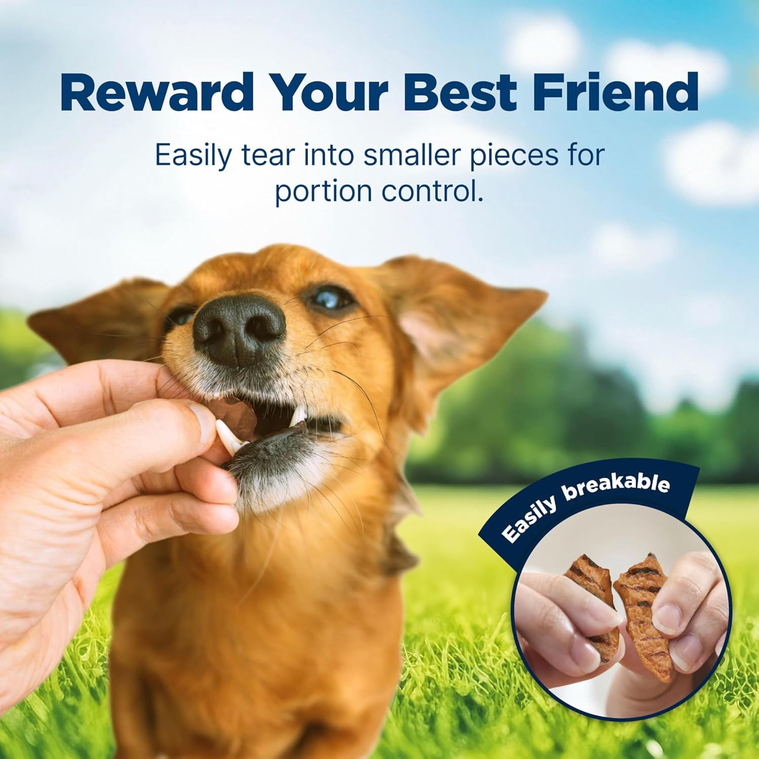 Blue Buffalo Nudges Grillers Natural Dog Treats, Made in the USA with Real