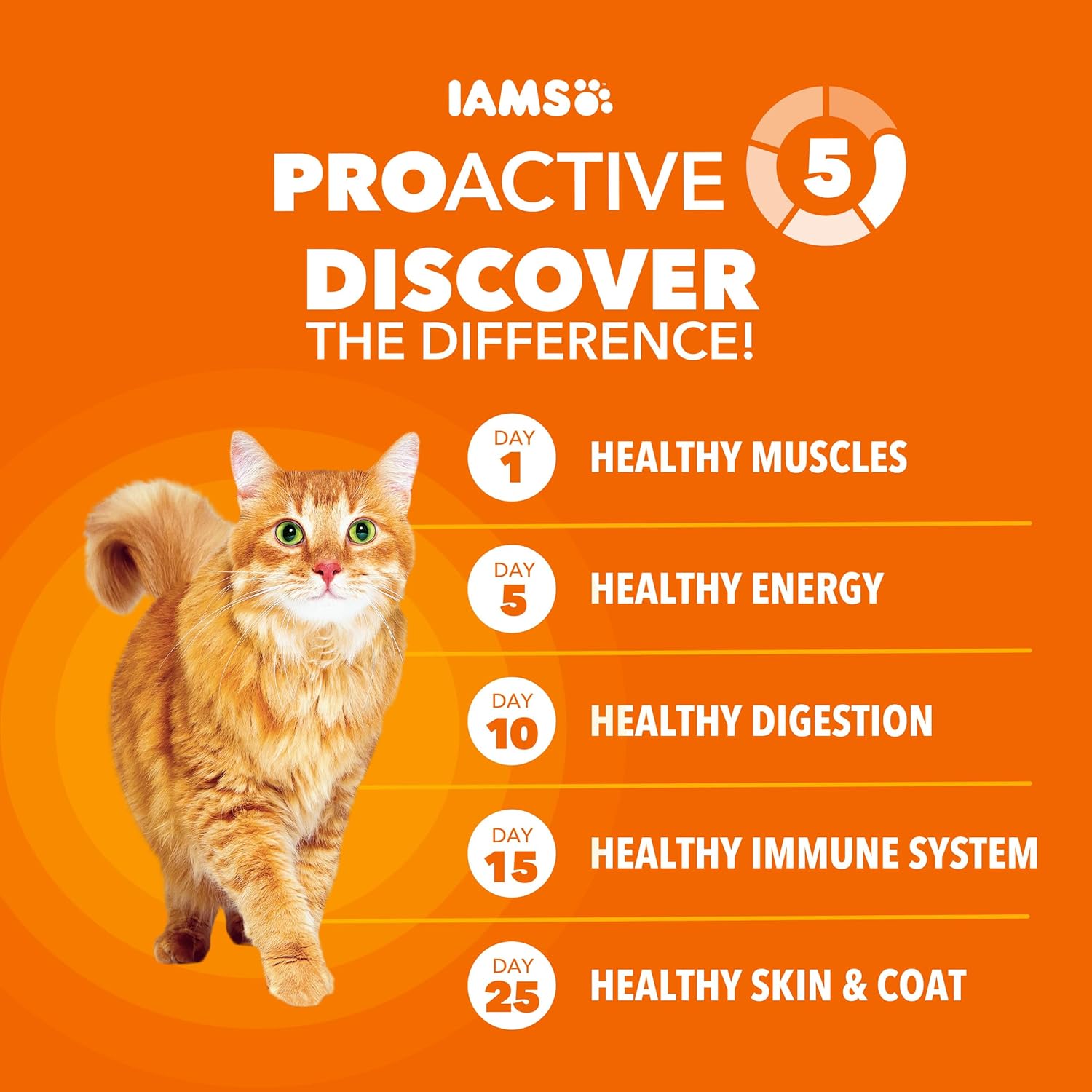IAMS Proactive Health Dry Cat Food, Healthy Cat Food Dry Recipe for Adults