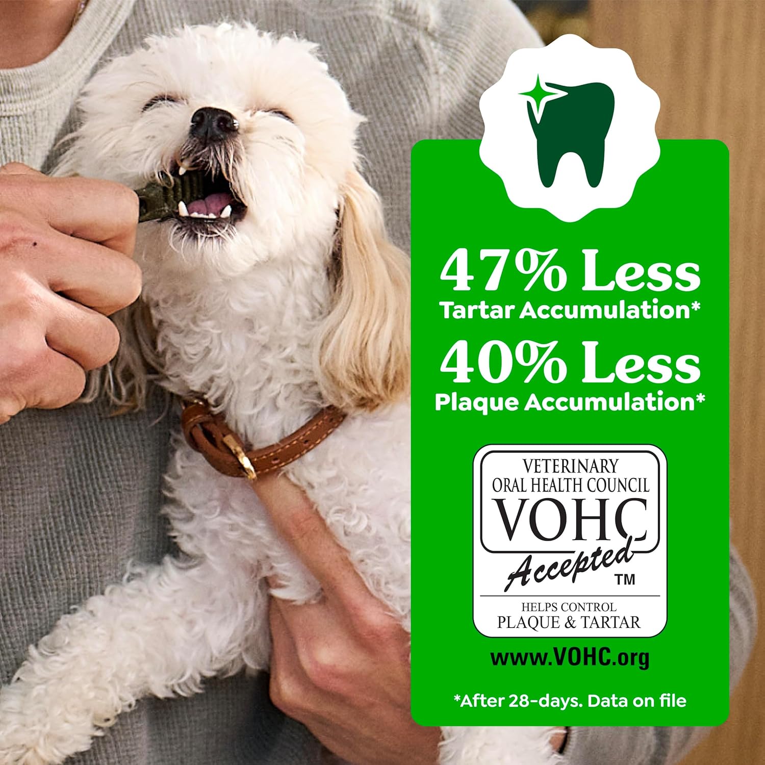 Greenies Veterinarian-Recommended Adult Natural Dental Dog Treats Petite