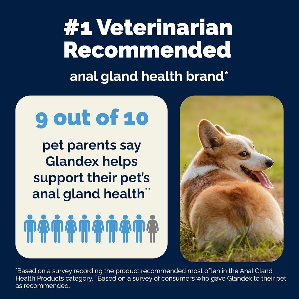 Vetnique Glandex Anal Gland Soft Chew Treats with Pumpkin for Dogs Digestive