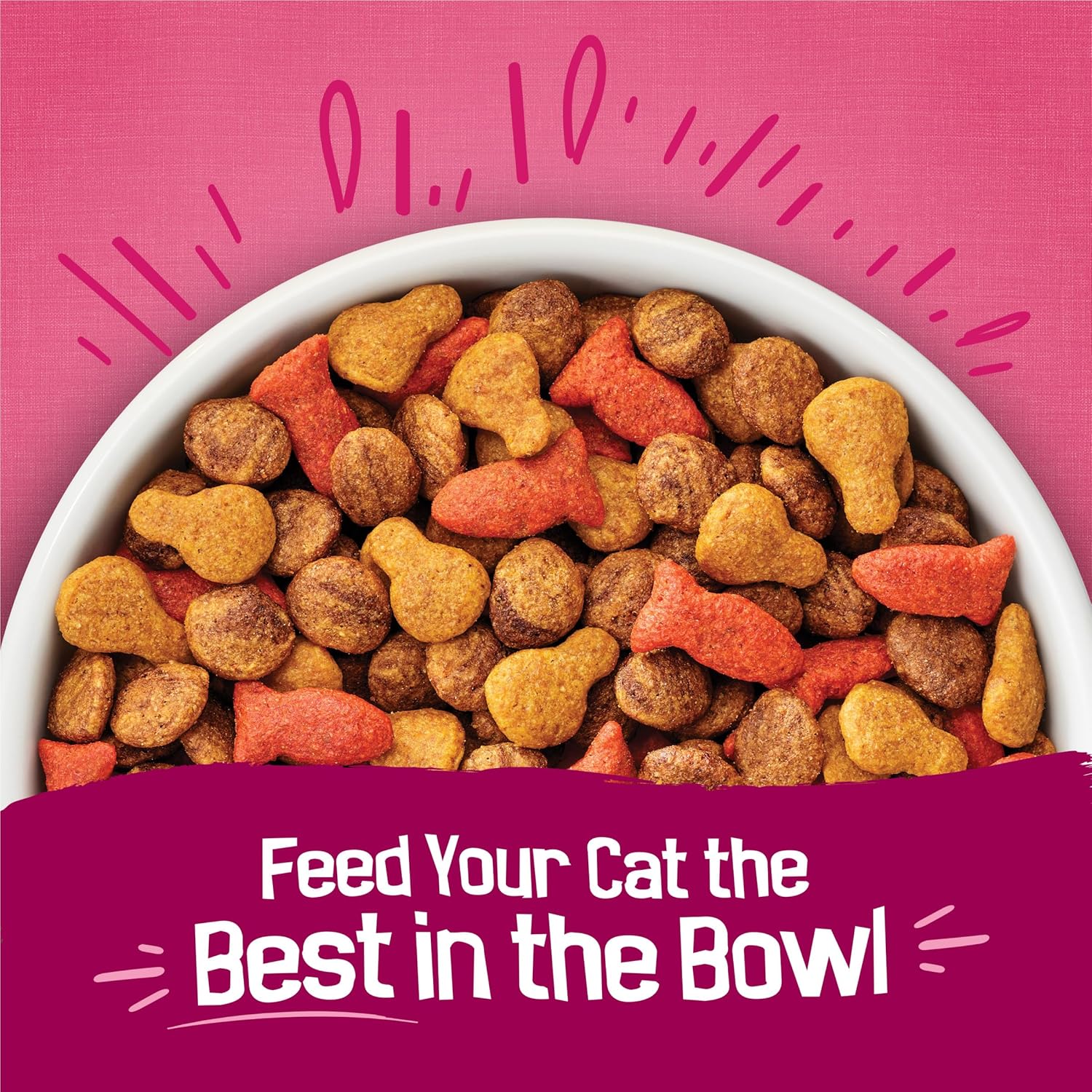 Purina Friskies Gravy Swirlers With Flavors of Chicken, Salmon and Gravy Dry