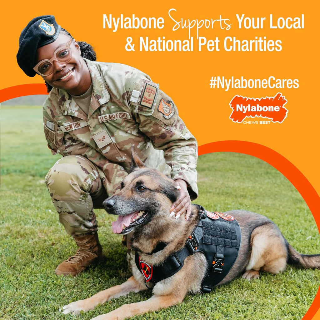 Nylabone Healthy Edibles Natural Puppy Chews Long Lasting Treats for Puppies