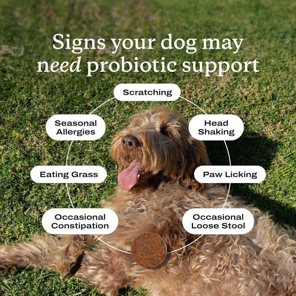 PetLab Co. Probiotics for Dogs, Support Gut Health, Occasional Diarrhea