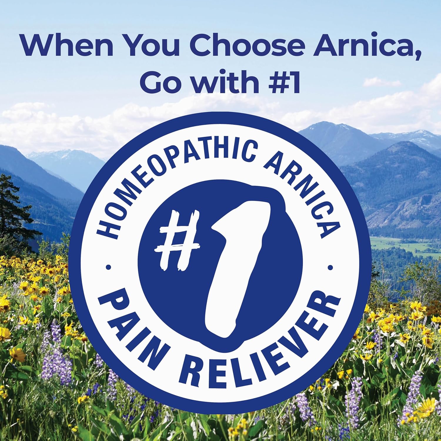 Boiron Arnica Montana 30C Homeopathic Medicine for Relief from Muscle Pain