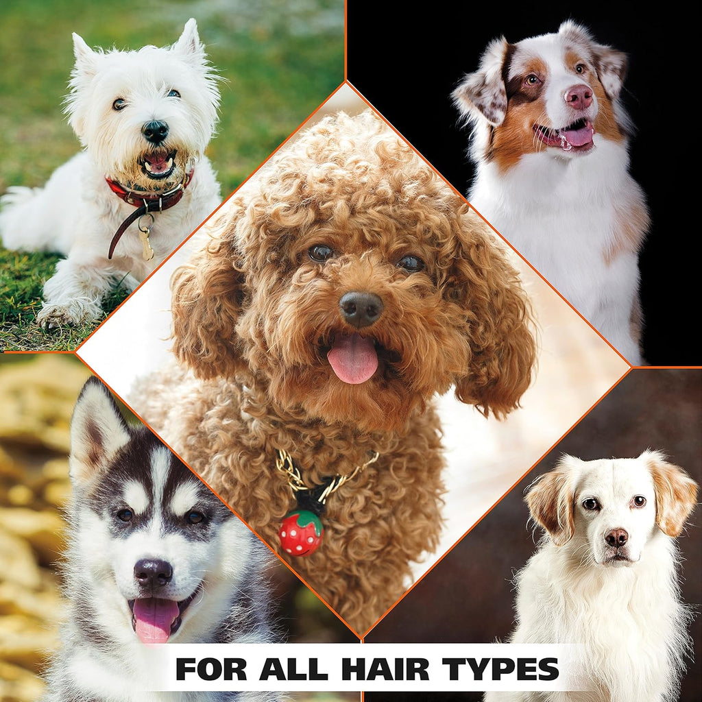 Wahl USA 4-in-1 Calming Dog Shampoo with Lavender Chamomile Scent ‰ÛÒ Cleans